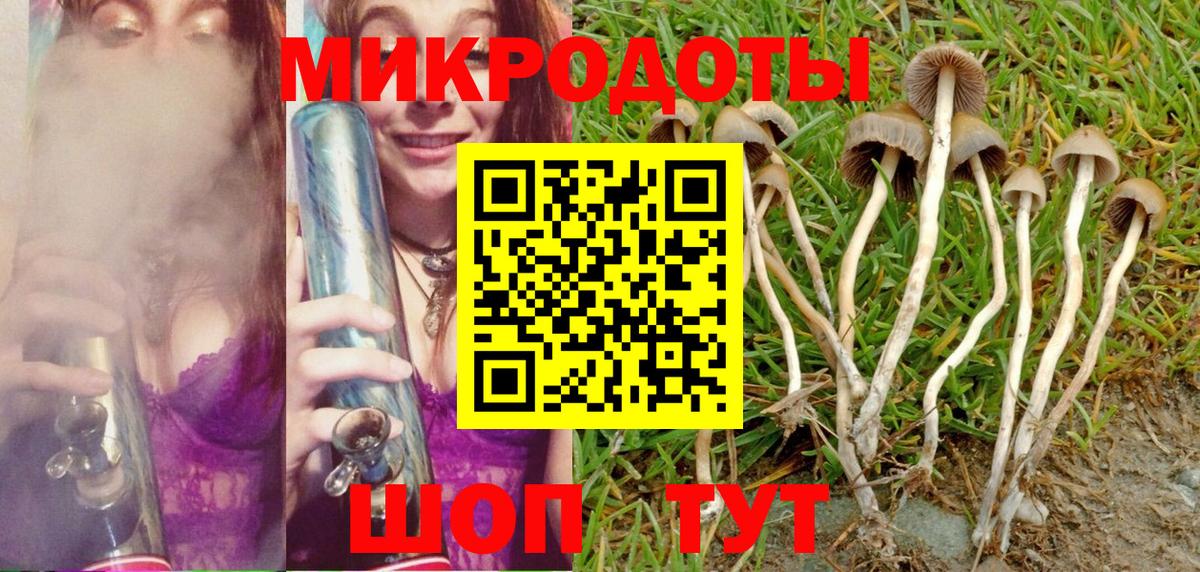 Алейск  Псилоцибиновые грибы Psilocybine cubensis  продажа наркотиков  Вход с VPN 